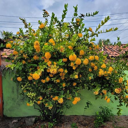 Pousada Terraço Potiguara Baia da Traicao Exterior foto